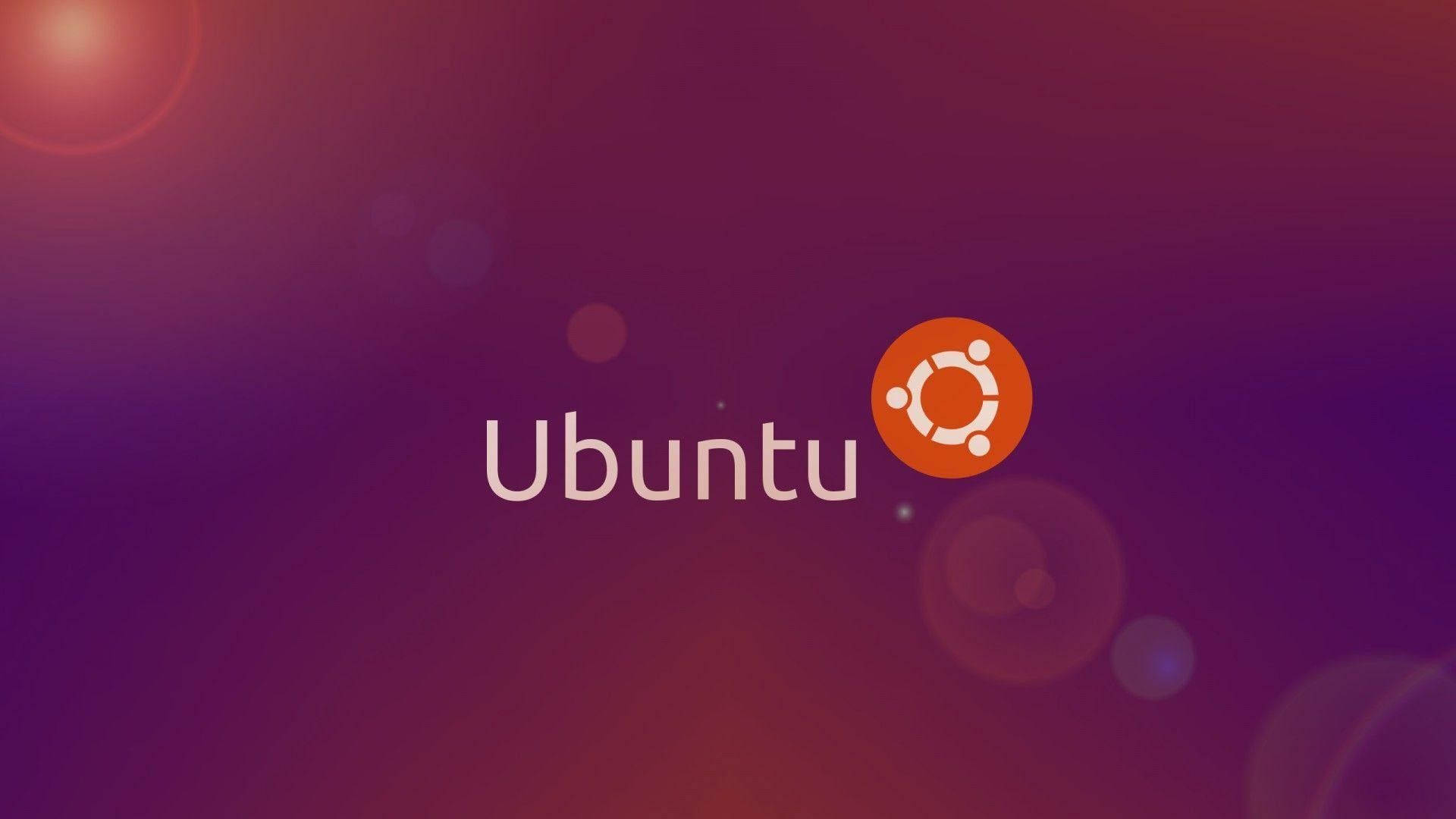 Các Việc Cần Làm Sau Khi Cài Ubuntu